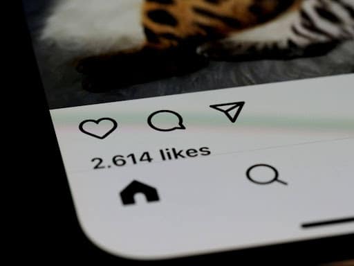  Instagram 